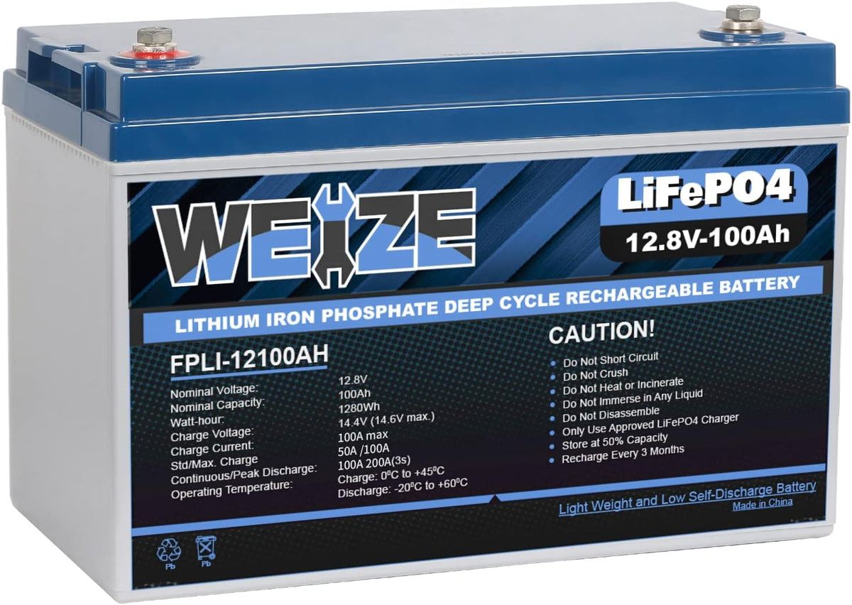 12V 100Ah LiFePO4 Lithium Battery with Smart BMS X841