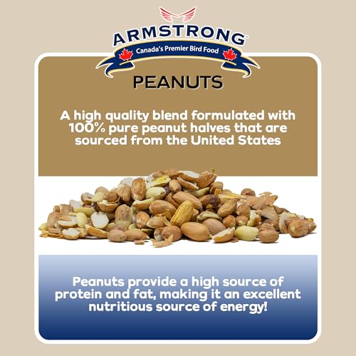 Shelled Peanut Halves Bird Seed 20 Pounds B9579