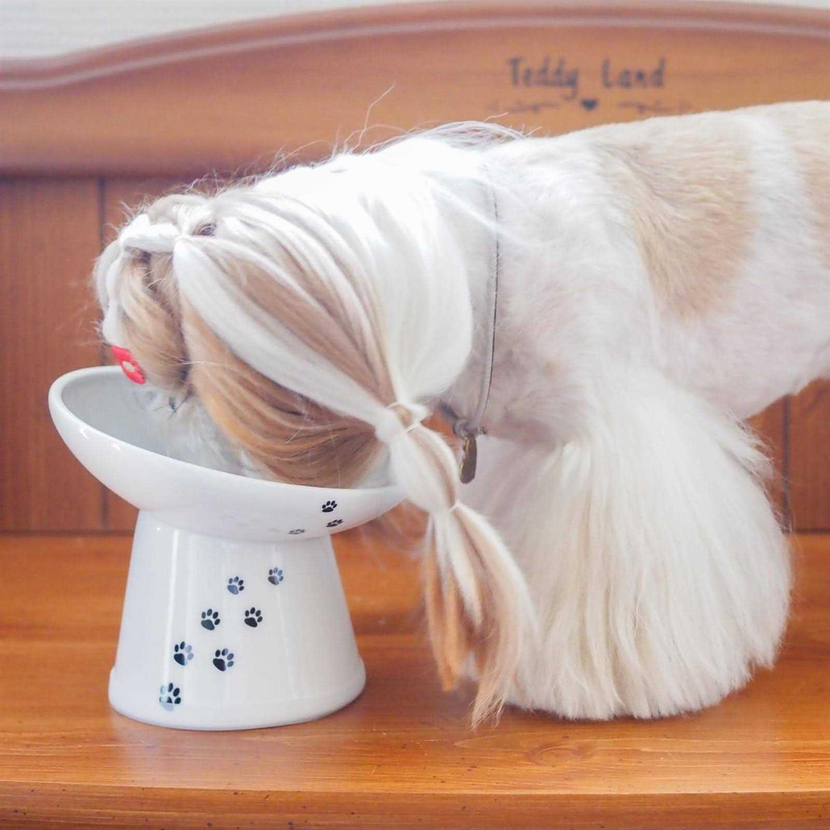 Extra Wide Raised Cat Food Bowl F600