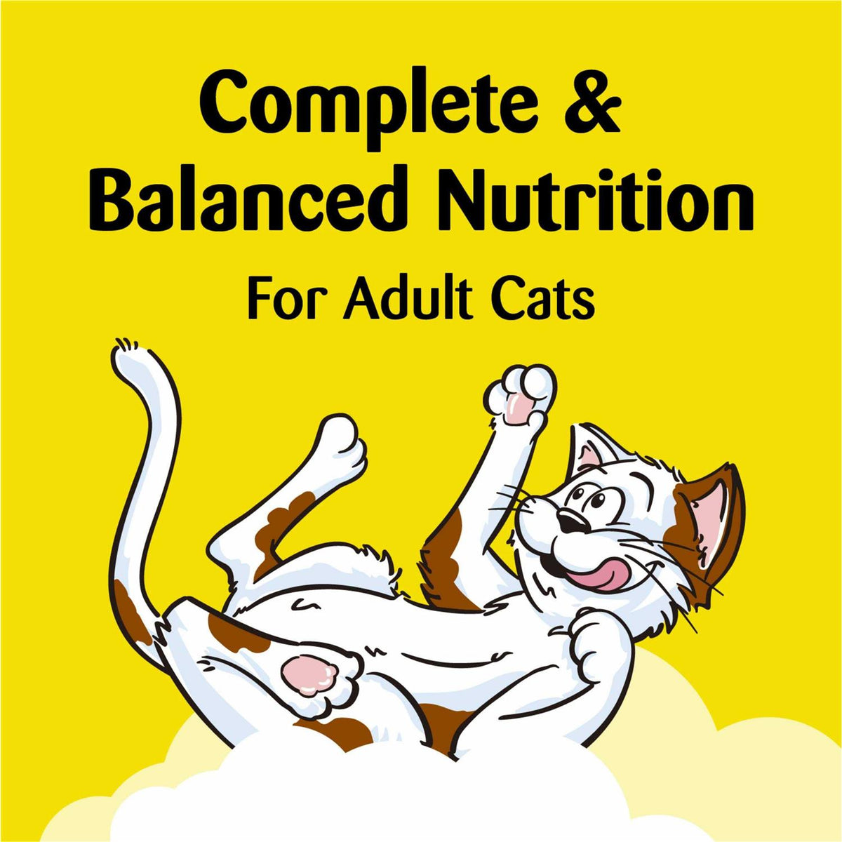 Crunchy Cat Treats A838689