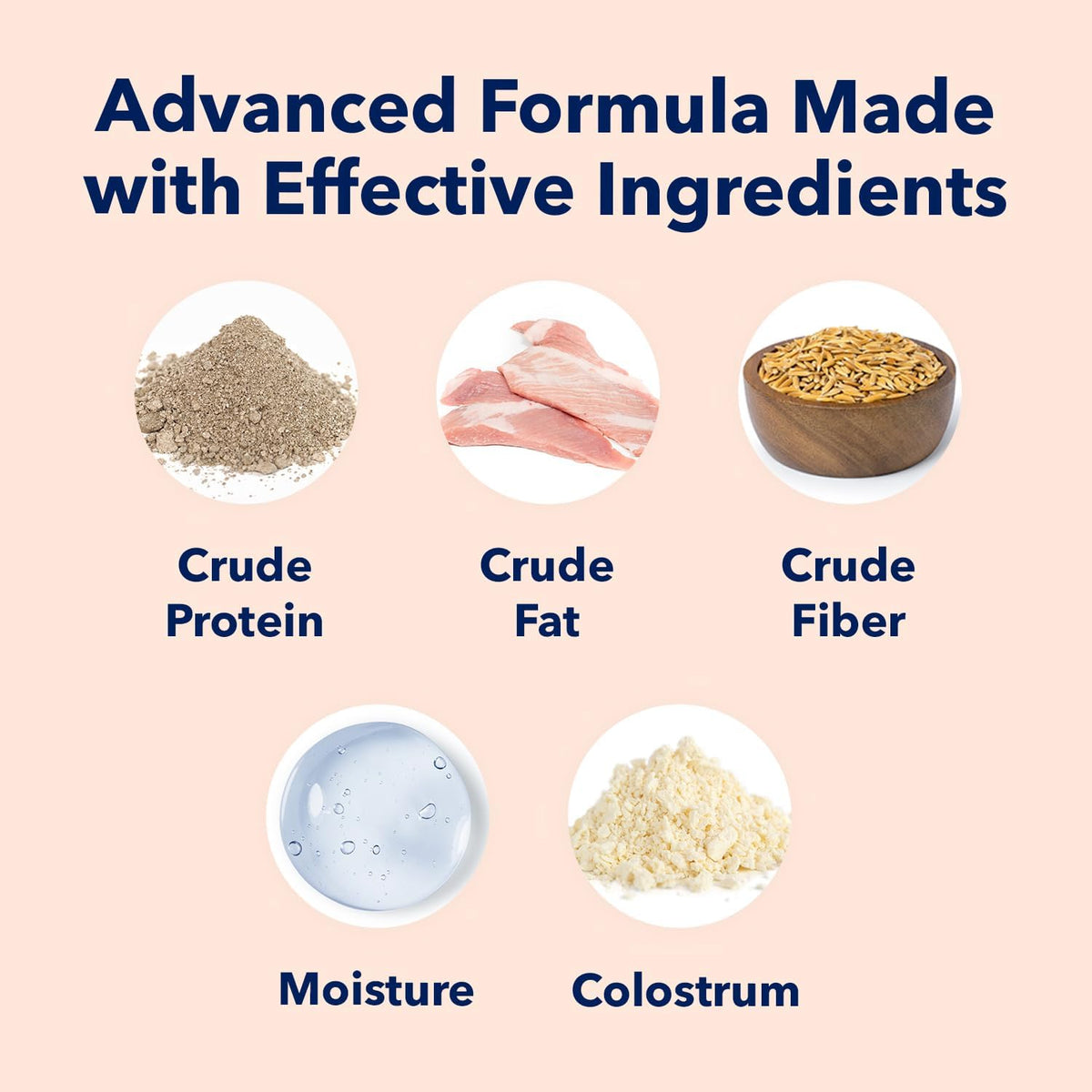 Puppy Milk Replacement Formula Powder Supplement - 12 Oz I1505