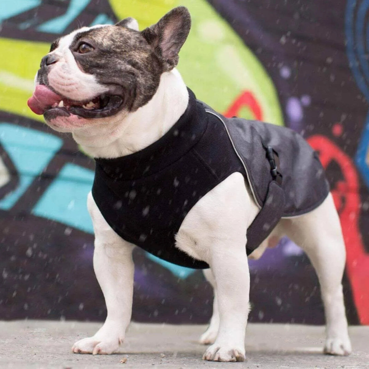 Charcoal Dog Coat Q73321