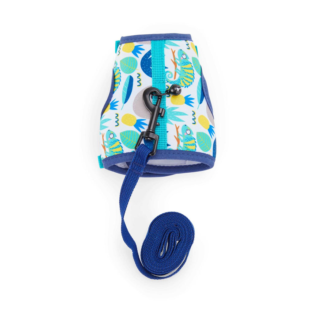 Ferret Harness and Leash V18074