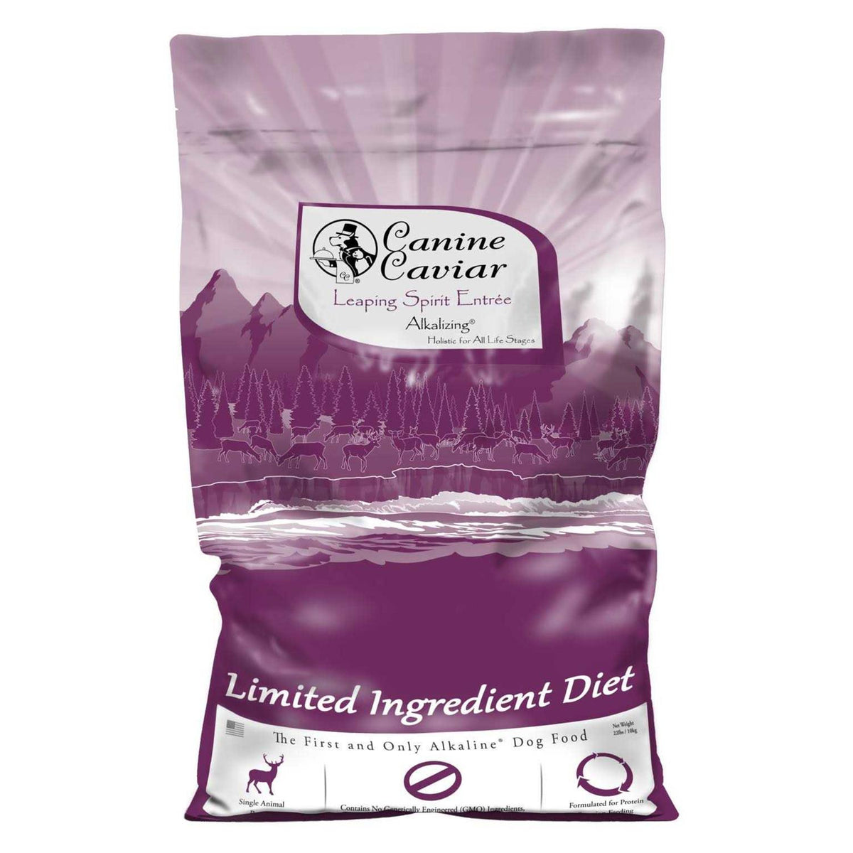 Grain Free Dry Dog Food V223775