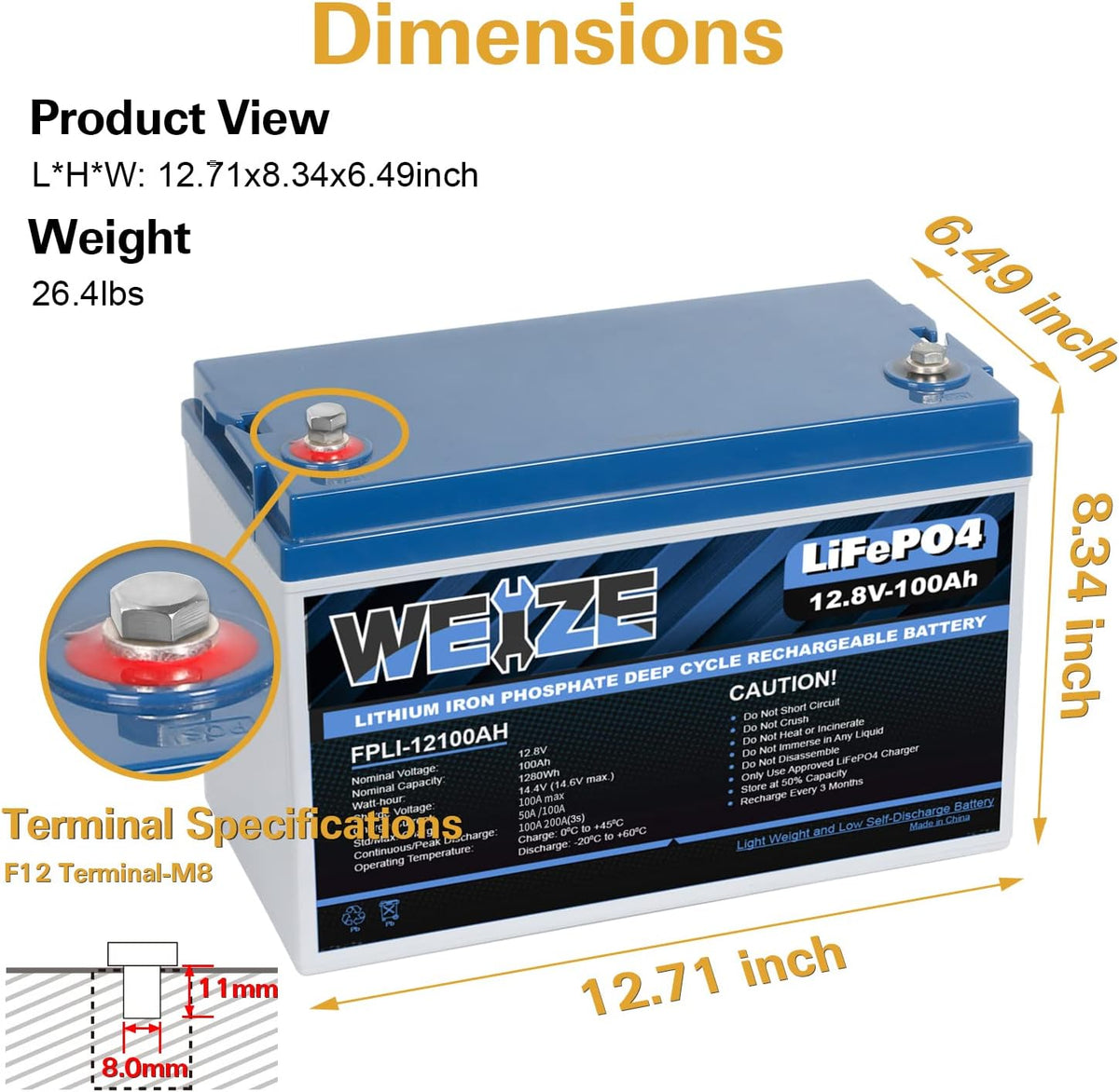 12V 100Ah LiFePO4 Lithium Battery with Smart BMS X841
