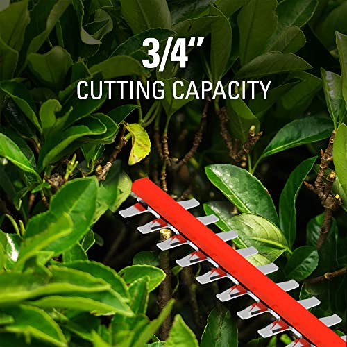 40V 24" Cordless Hedge Trimmer with 3.0Ah Battery and Charger Y27231