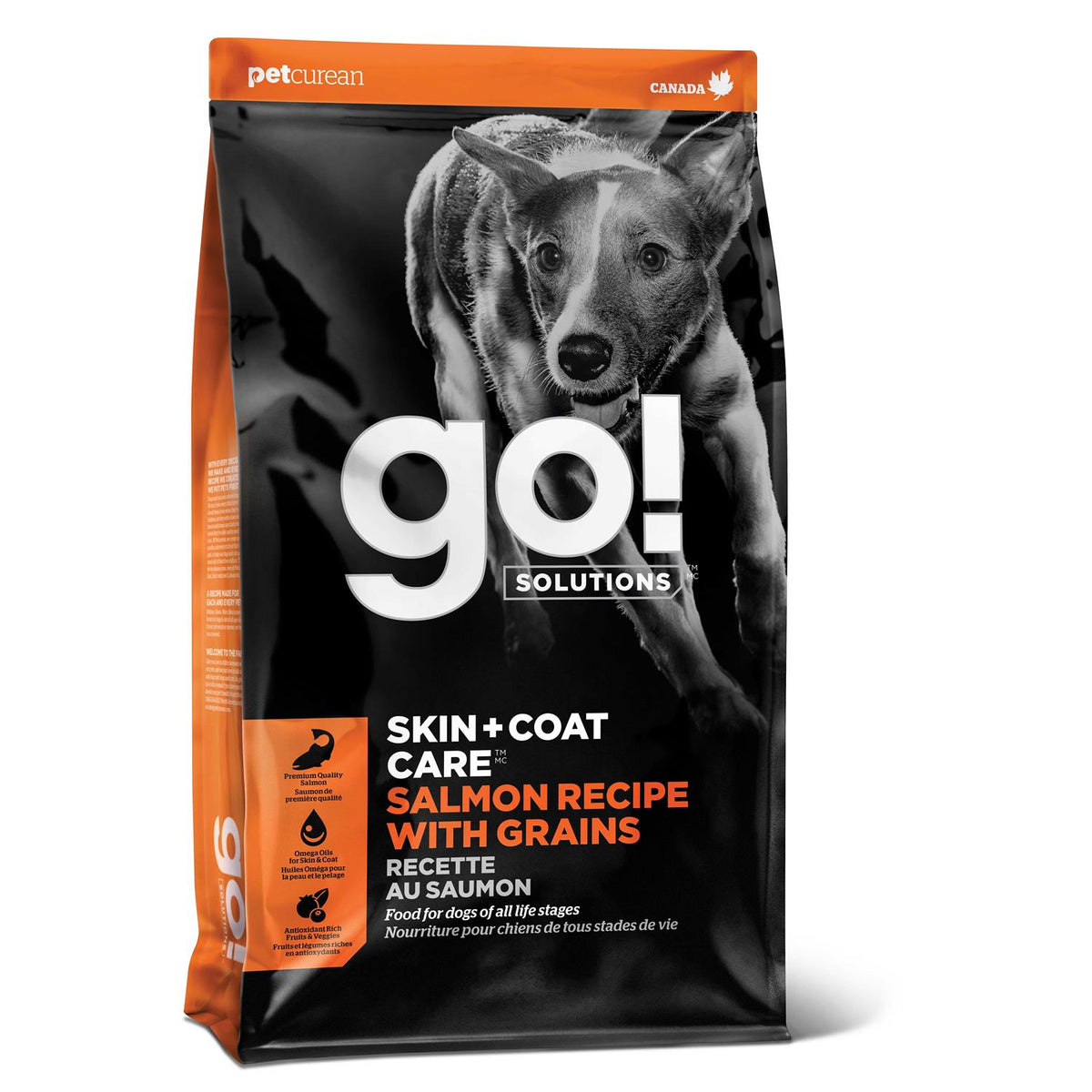 Skin + Coat Care Salmon Recipe Dry Dog Food N9454