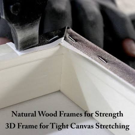 Canvas D77457
