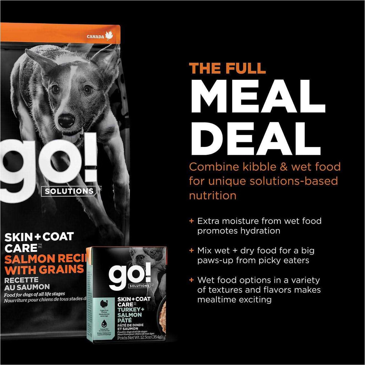 Skin + Coat Care Salmon Recipe Dry Dog Food N9454