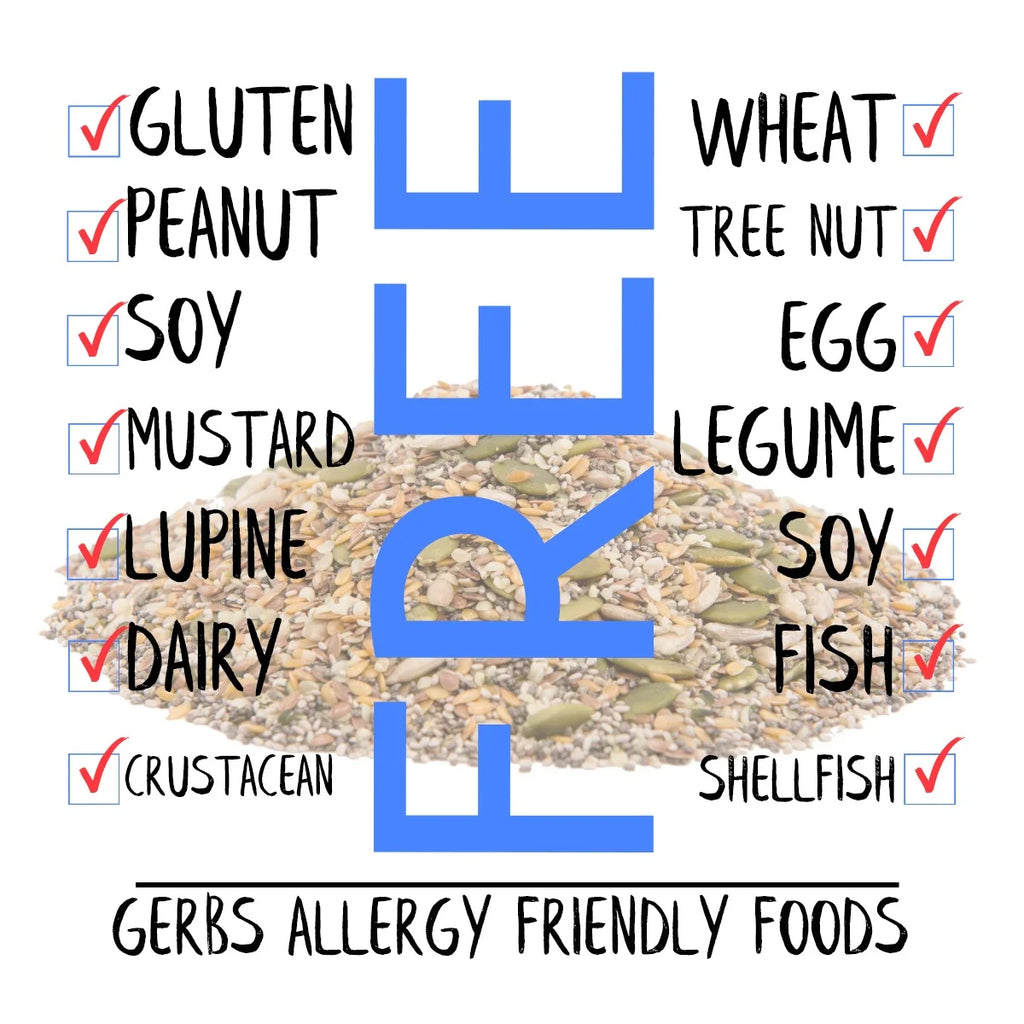 Top 14 Food Allergy Free Dried Fruit and Seed Mixes Z629795