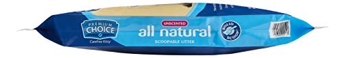 Unscented Clumping Cat Litter - 25lb Bag N228315