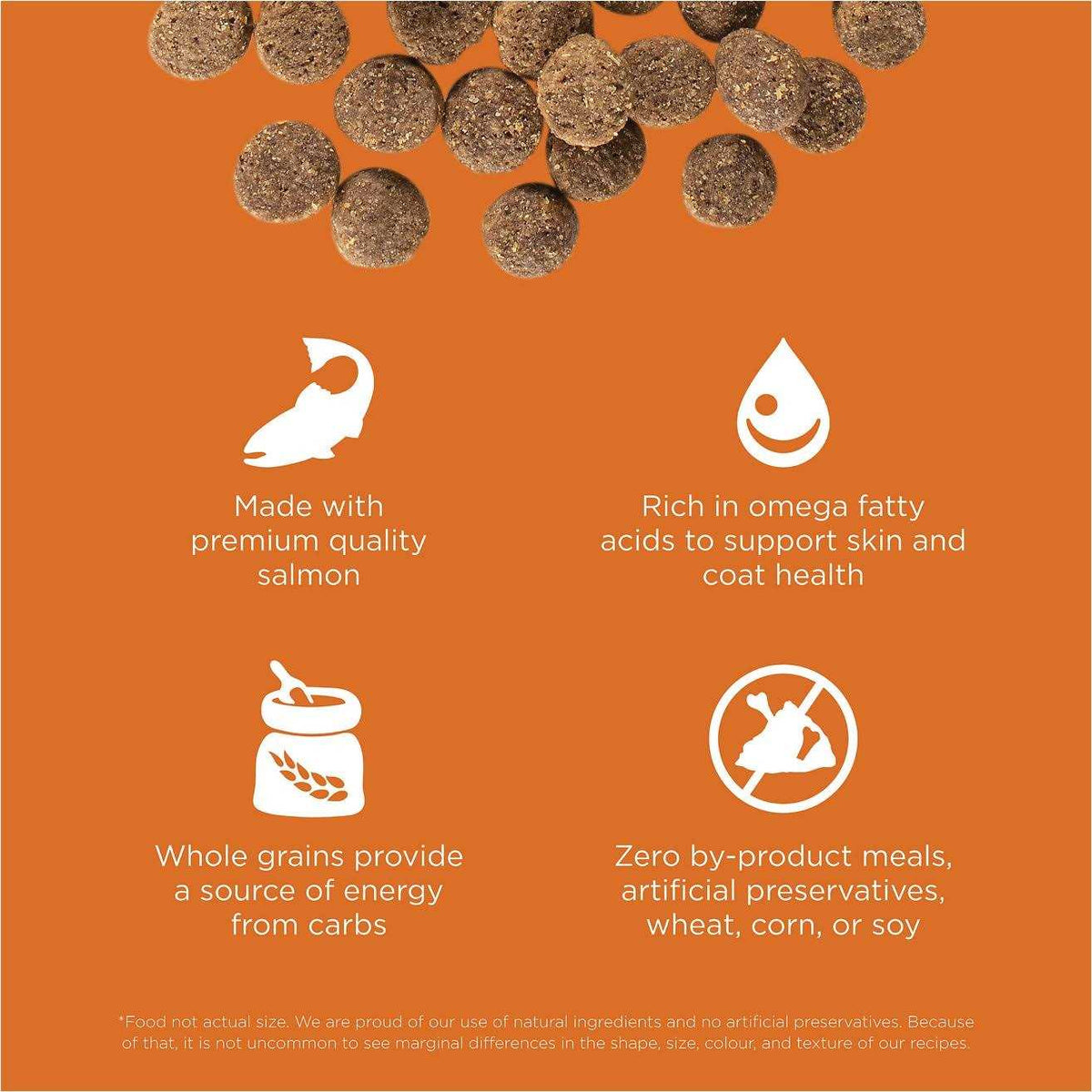 Skin + Coat Care Salmon Recipe Dry Dog Food N9454