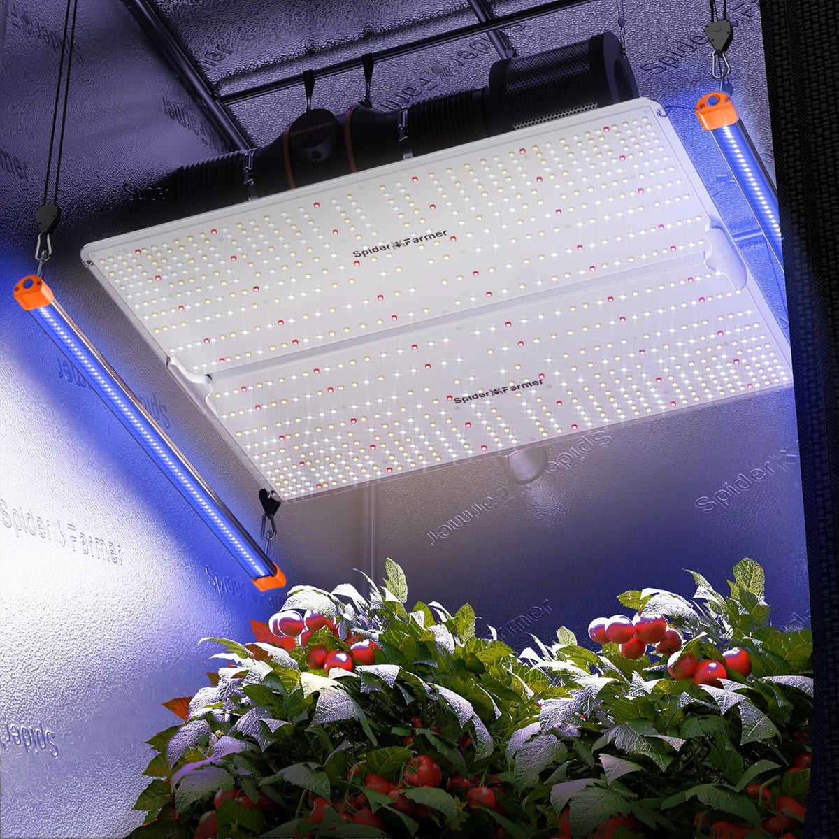 LED Grow Lights with Samsung LM301B Diodes Full Spectrum Grow Light and UV Supplemental Light W349