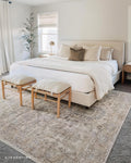 Oriental Ivory Sand Area Rug D1615