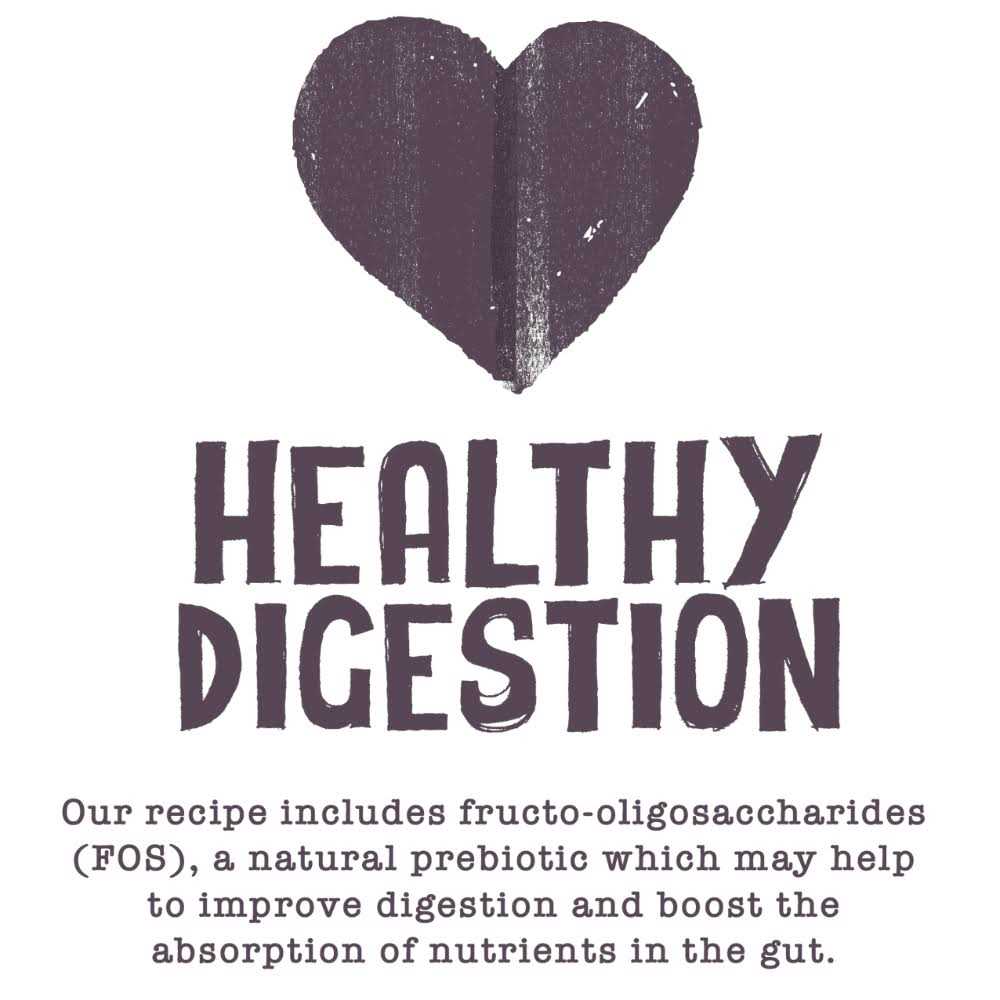 Cat W2062