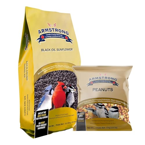 Shelled Peanut Halves Bird Seed 20 Pounds B9579