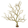 Manzanita Branch 22-inch Tall with Weighted Base G51316