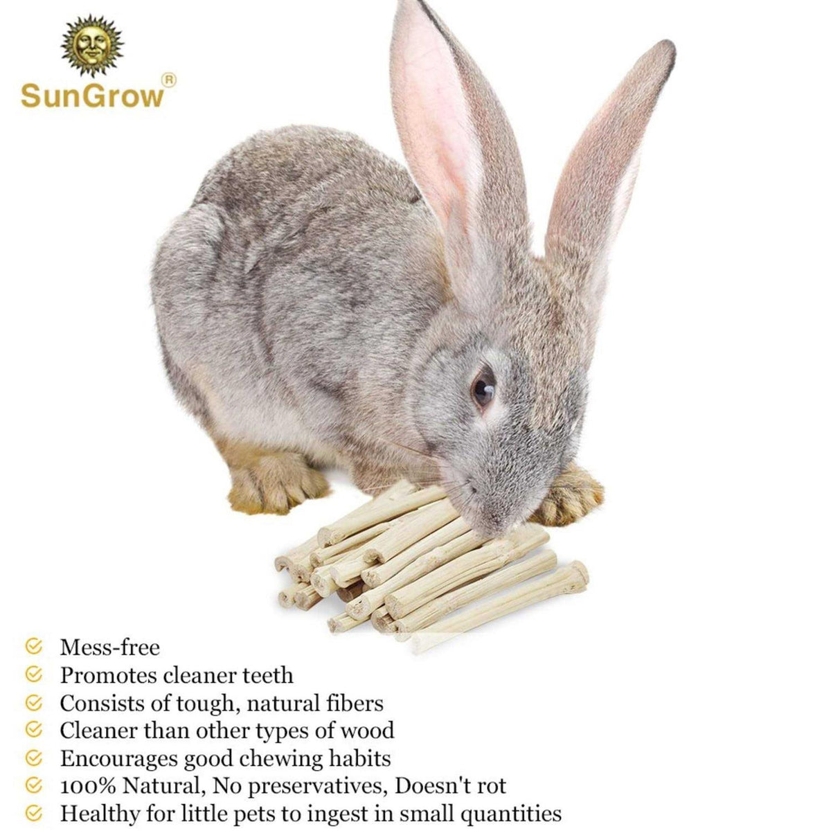 Bamboo Chew Sticks Small-Pet Dental Treats & Snacks D5529
