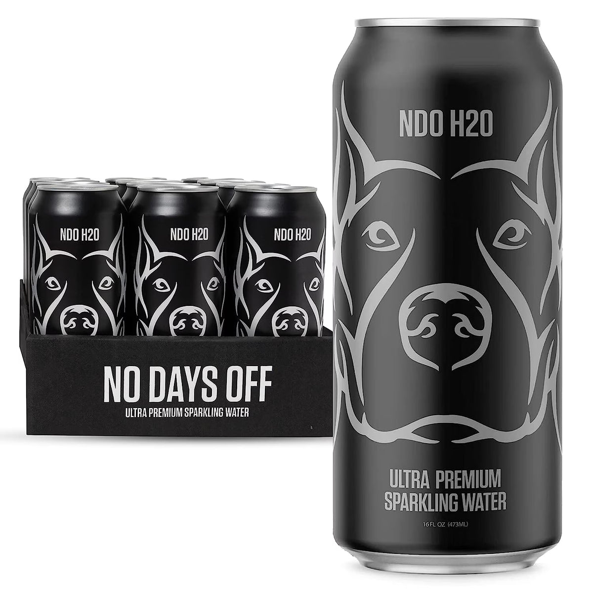 Sparkling Water, 12 Pack - 16 fl oz/can, 5.68L Total V7805
