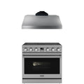 36 Electric Range and Range Hood Y258