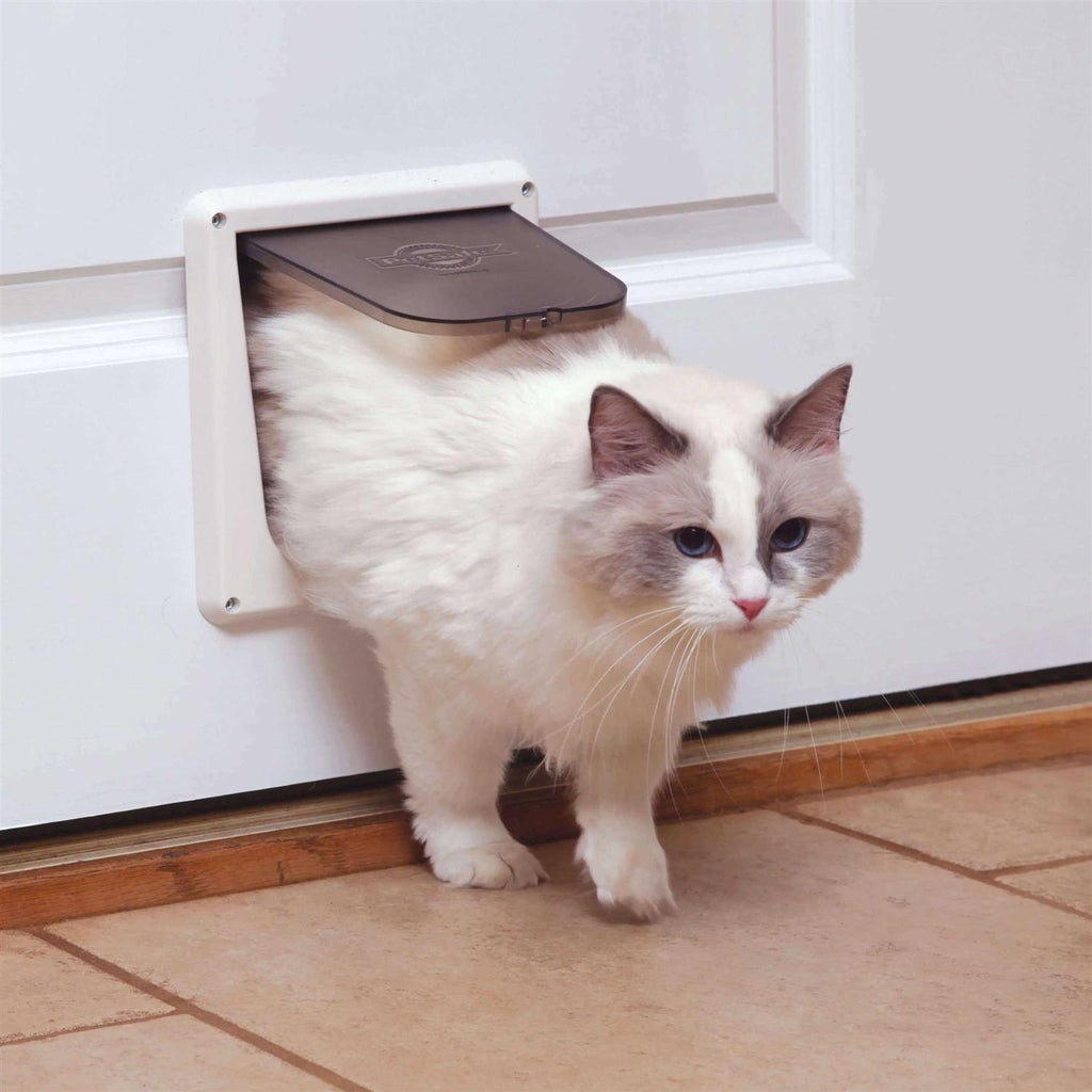 Locking Cat Door Y967