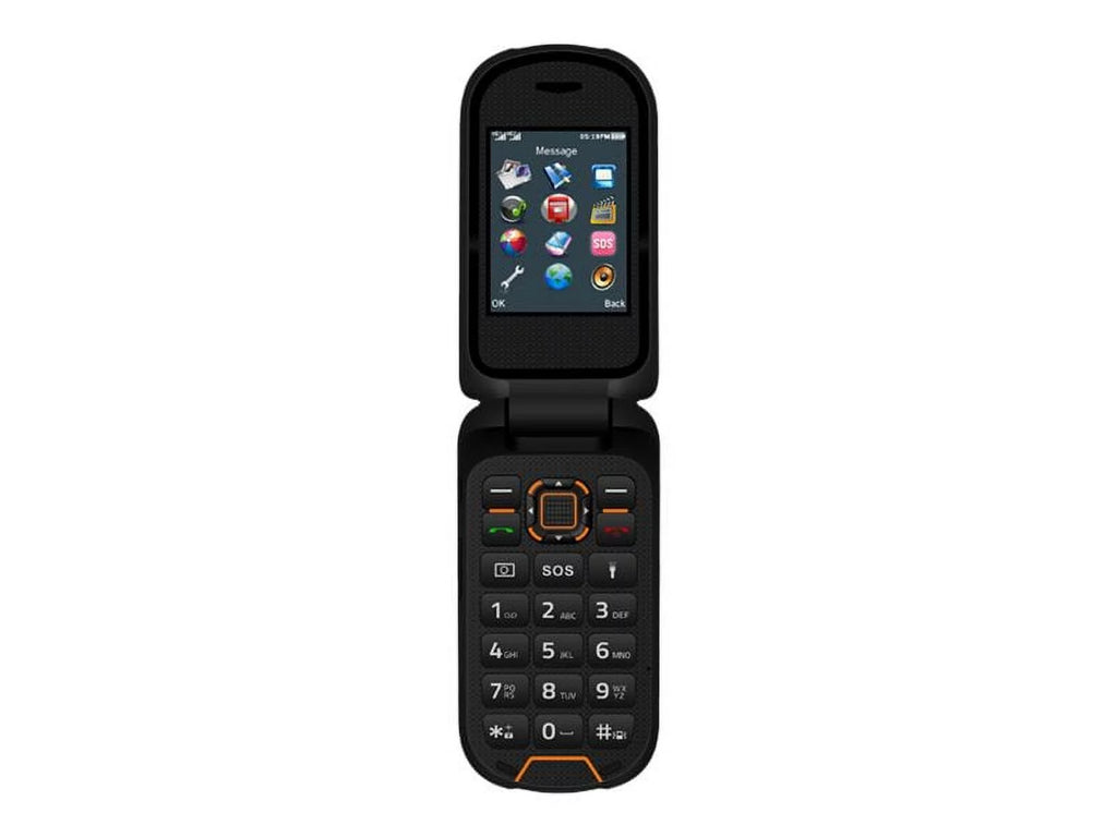Feature Phone Dual-SIM 64 MB RAM 128 MB Internal Memory H93593
