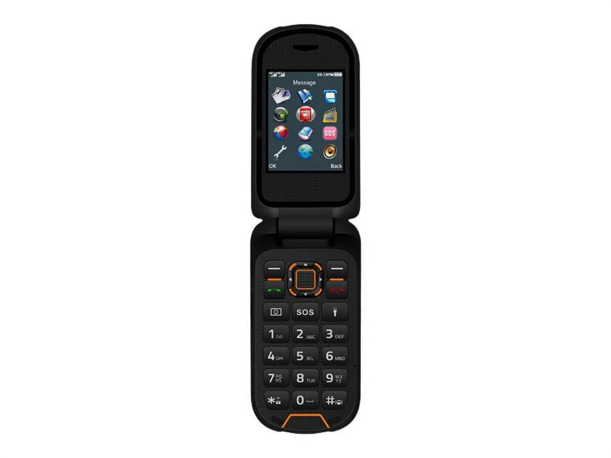 Feature Phone Dual-SIM 64 MB RAM 128 MB Internal Memory H93593