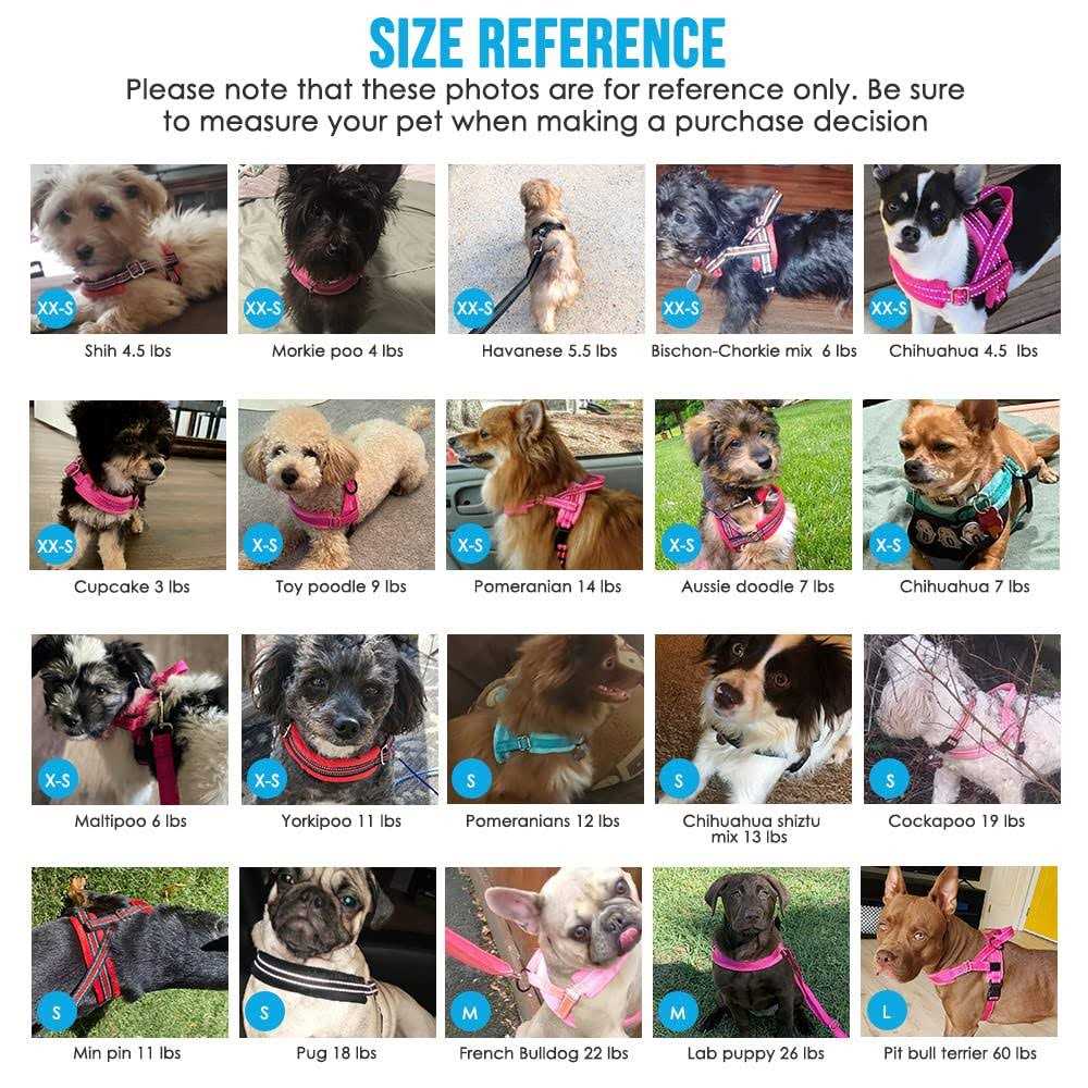 Heavy Duty Adjustable Reflective Dog Harness and Leash P9479