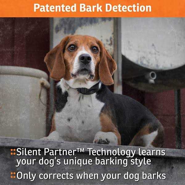 NoBark Collar Q704932