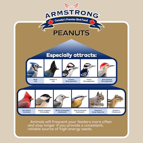 Shelled Peanut Halves Bird Seed 20 Pounds B9579