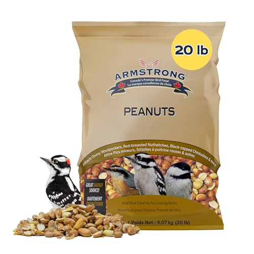 Shelled Peanut Halves Bird Seed 20 Pounds B9579