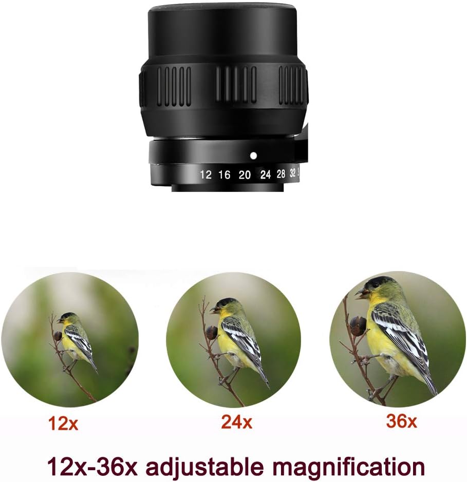 12-36X60 High Magnification HD Zoom Binoculars S302613