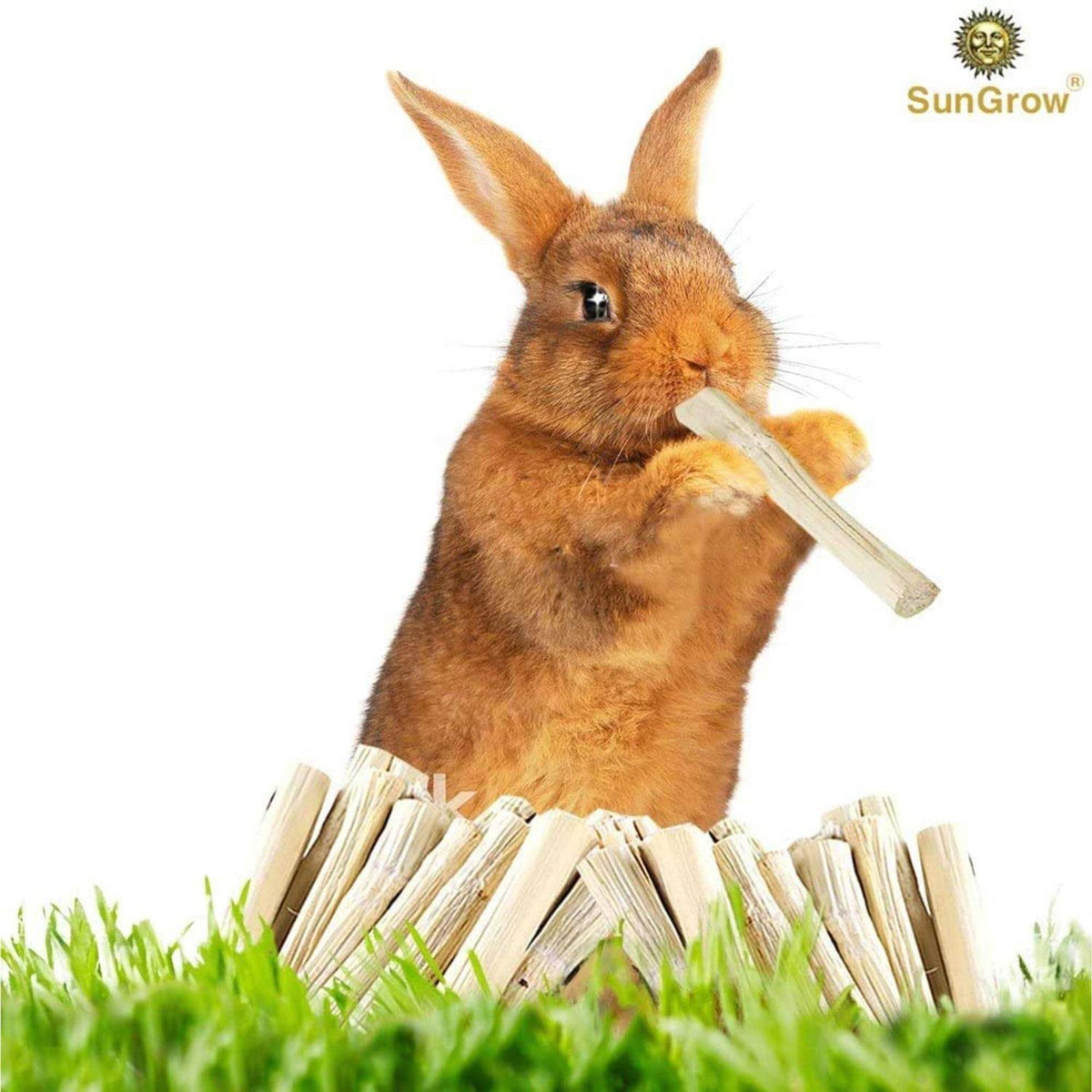 Bamboo Chew Sticks Small-Pet Dental Treats & Snacks D5529