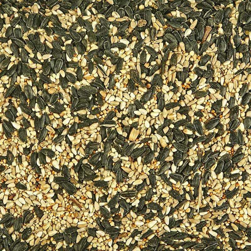 Wild Bird Food R470