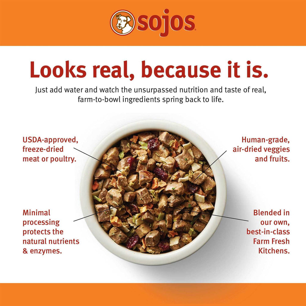 Beef Recipe Dog Food S1299