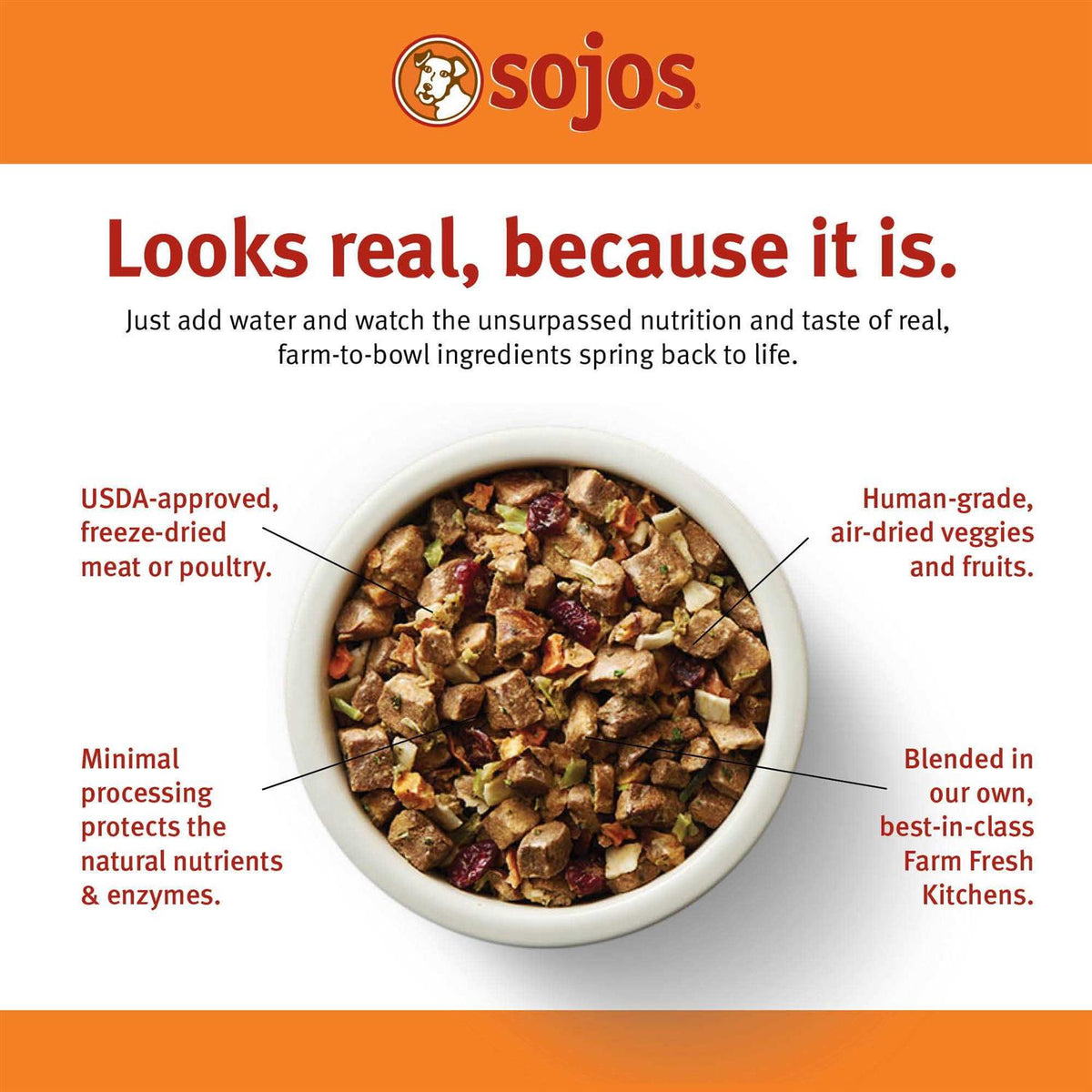 Beef Recipe Dog Food S1299