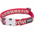 Dog Collar R6079