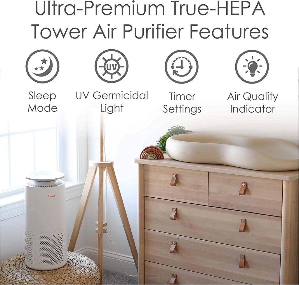 Air Purifier with True HEPA Filter J747