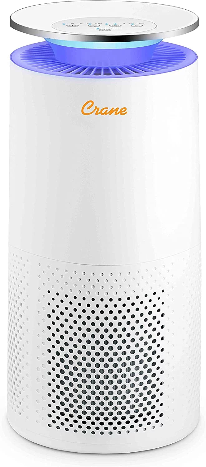 Air Purifier with True HEPA Filter J747