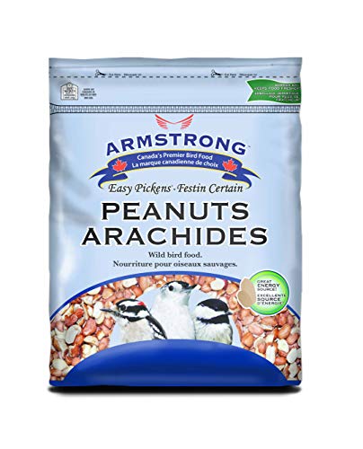 Shelled Peanut Halves Bird Seed 20 Pounds B9579