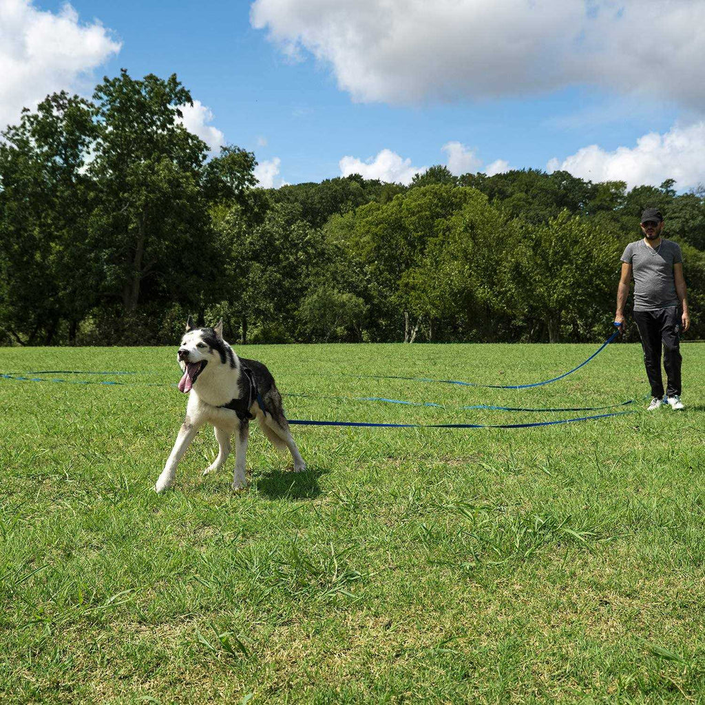Dog Puppy Training Leash 15ft 20ft 30ft 50ft 100ft U662873