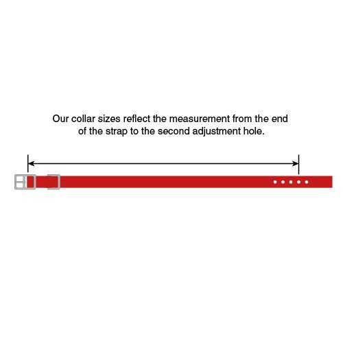 Dog Collar H468