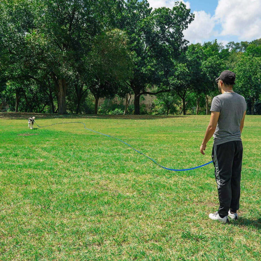 Dog Puppy Training Leash 15ft 20ft 30ft 50ft 100ft U662873