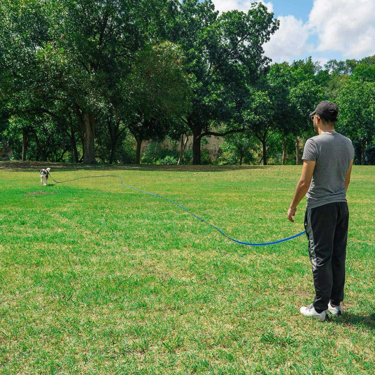 Dog Puppy Training Leash 15ft 20ft 30ft 50ft 100ft U662873