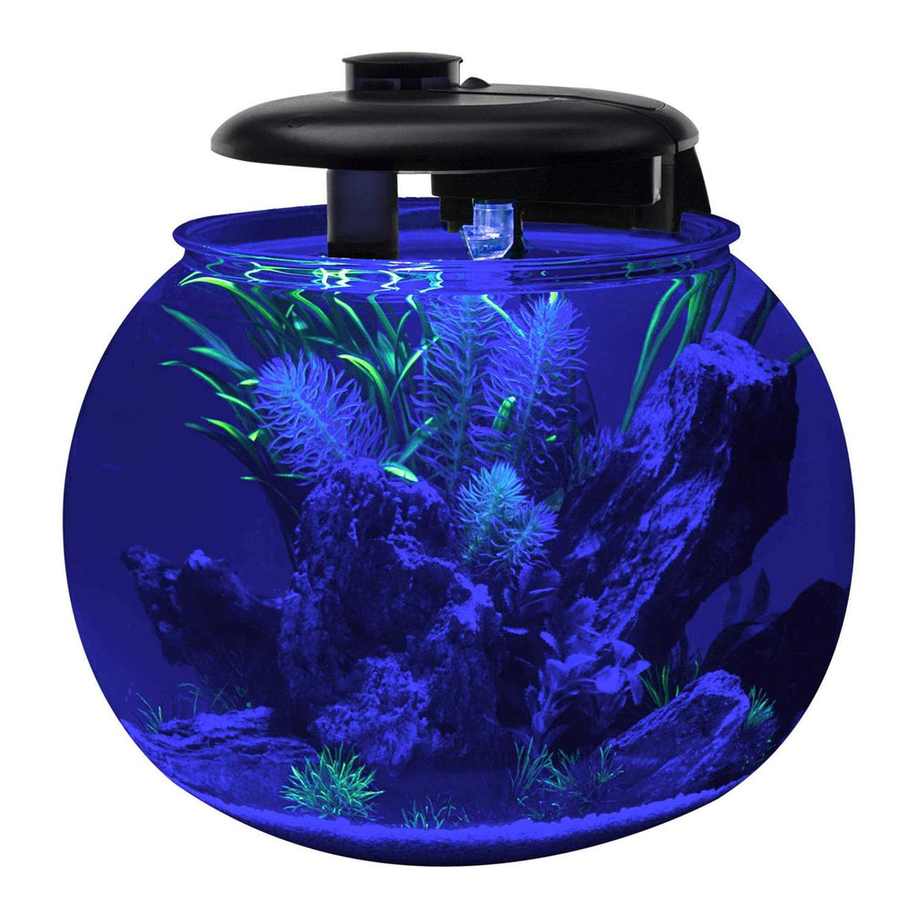 24 Gallon Polycarbonate Bowl-Shaped Aquarium R2858