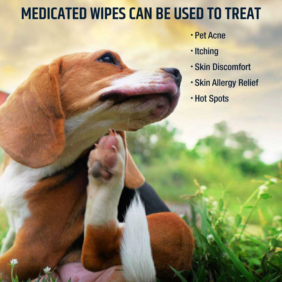 Chlorhexidine Dog & Cat Wipes N81096