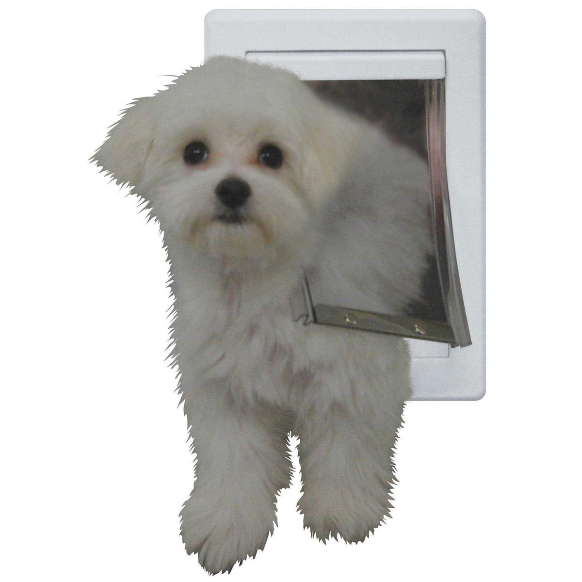 Plastic Pet Door Y14689