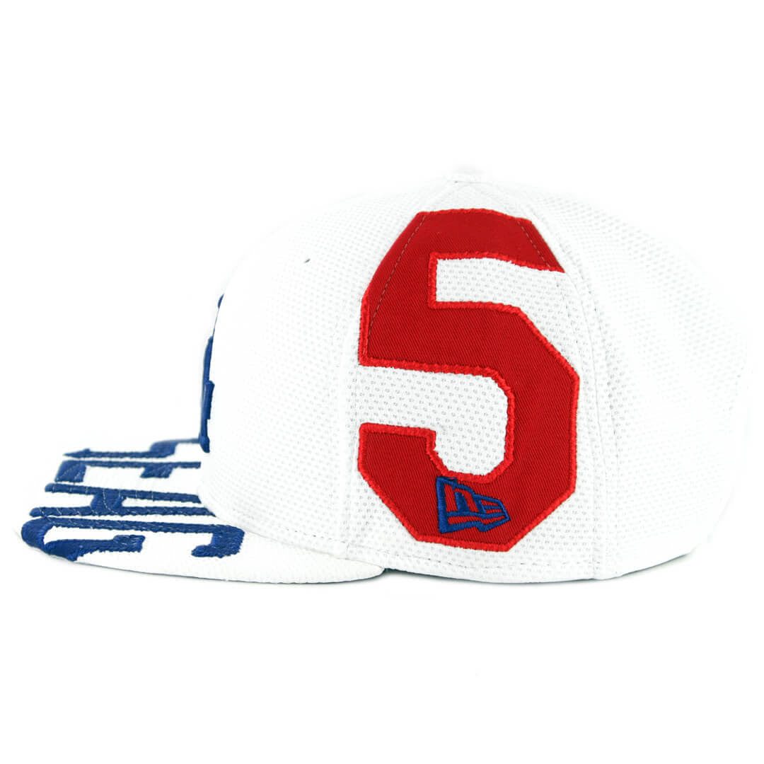 Snapback Hat Cap R484