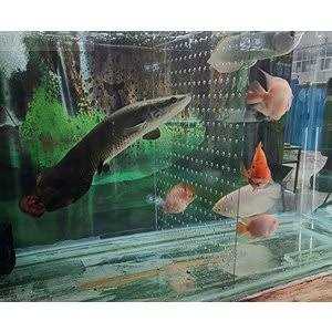 Acrylic Divider Isolation Board with Suction Cups Q652256