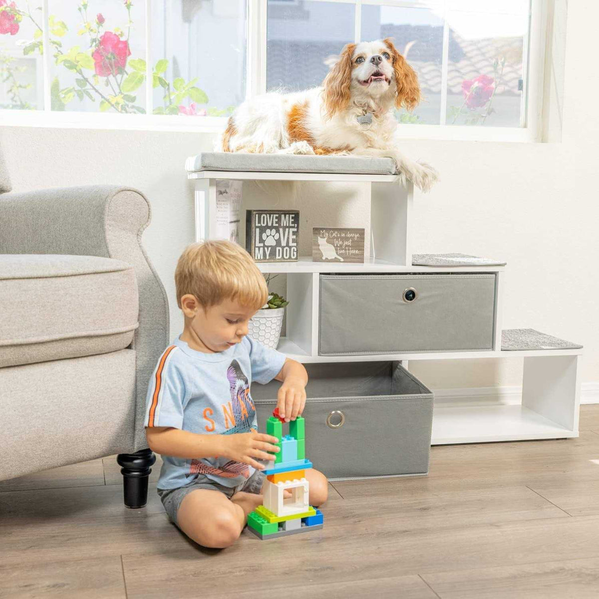 Pet Step Window Perch Bookshelf S97579
